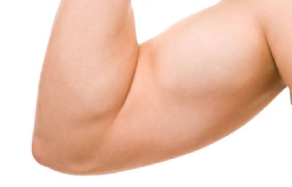elbow
