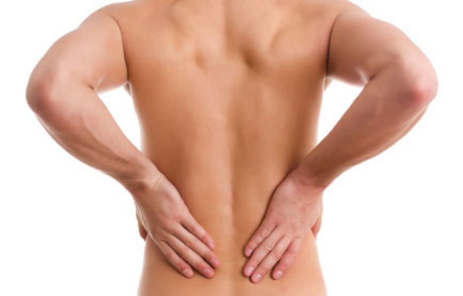 lumbar_and_thoracic_spine