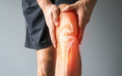 What is the Meniscus?