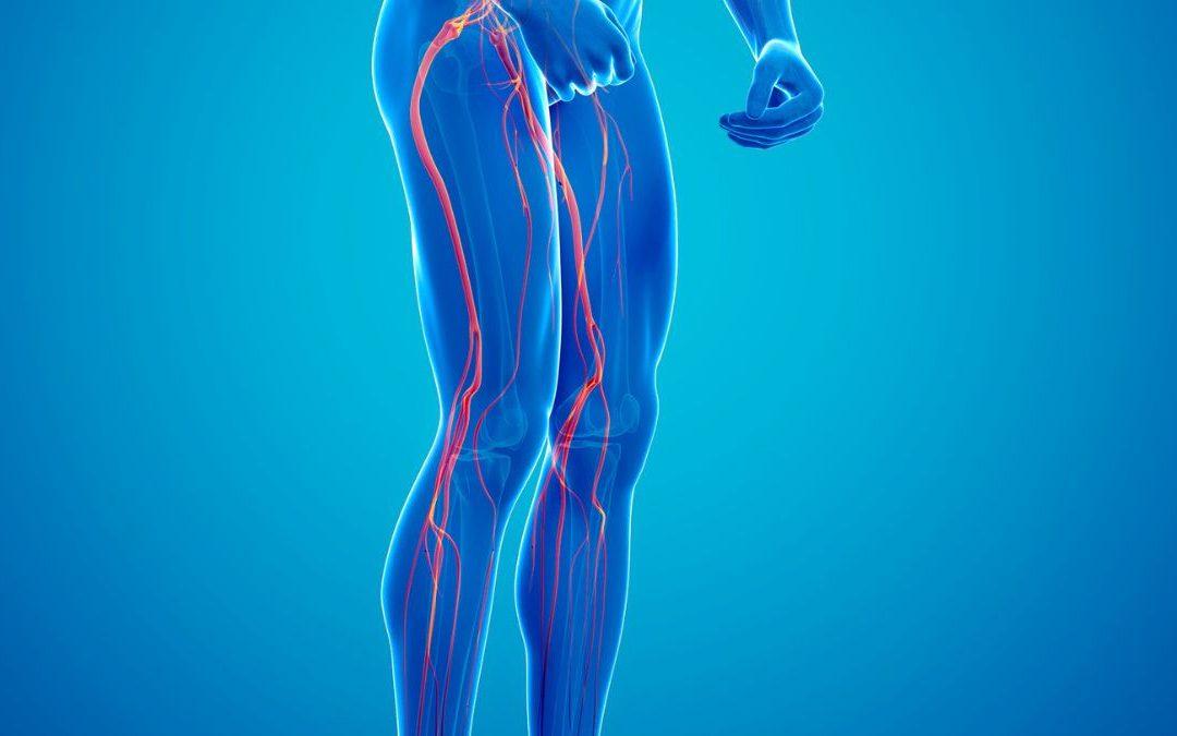 sciatica nerves