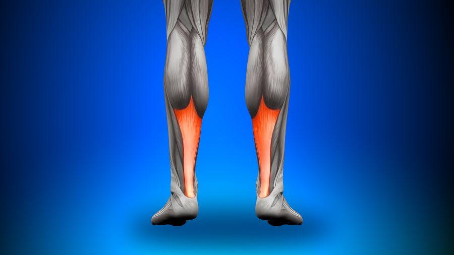 achilles tendinopathy - five dock physiotherapy